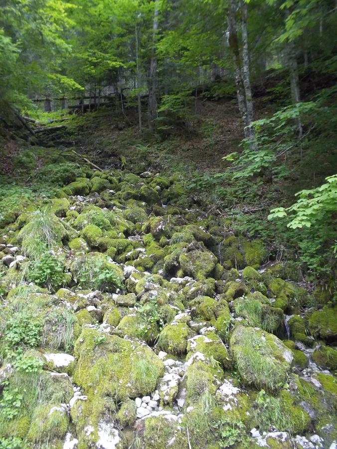 Haus Wastl Apartman Russbach am Pass Gschütt Kültér fotó