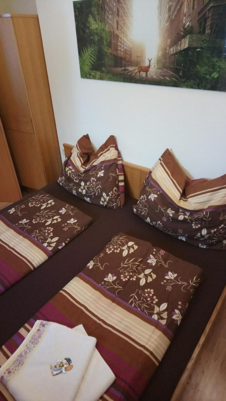 Haus Wastl Apartman Russbach am Pass Gschütt Kültér fotó